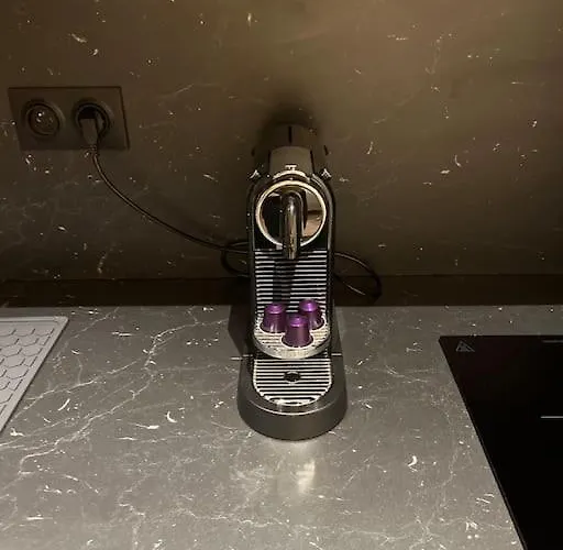 Bordeaux: Le Joyau De Cerf Volant Bordeaux